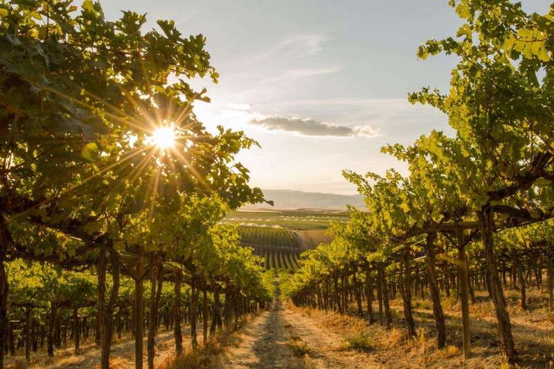 Kelowna: Sunset Sip Wine Tour - What $116 Gets You, and What You Add at the Table
