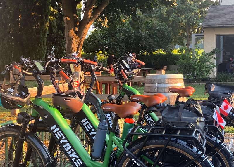 Kelowna: Wine Tasting by E-bike, Smartphone Guide & Lunch - Meadow Vista Honey Wines and Meadow Vista Bistro Lunch