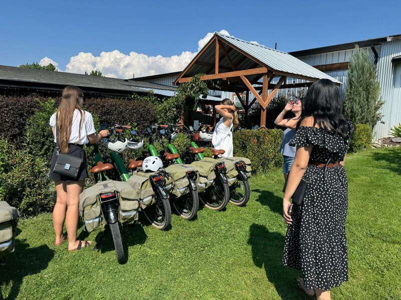 Kelowna: Wine Tasting by E-bike, Smartphone Guide & Lunch - Bee Watching at the Honey Wines Stop