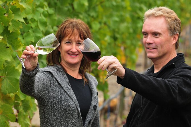 Kelowna Wine Tour by E-bike, Okanagan Valley Views and Lunch - Starting at Lakeside Eco-Sports: where your ride becomes easy