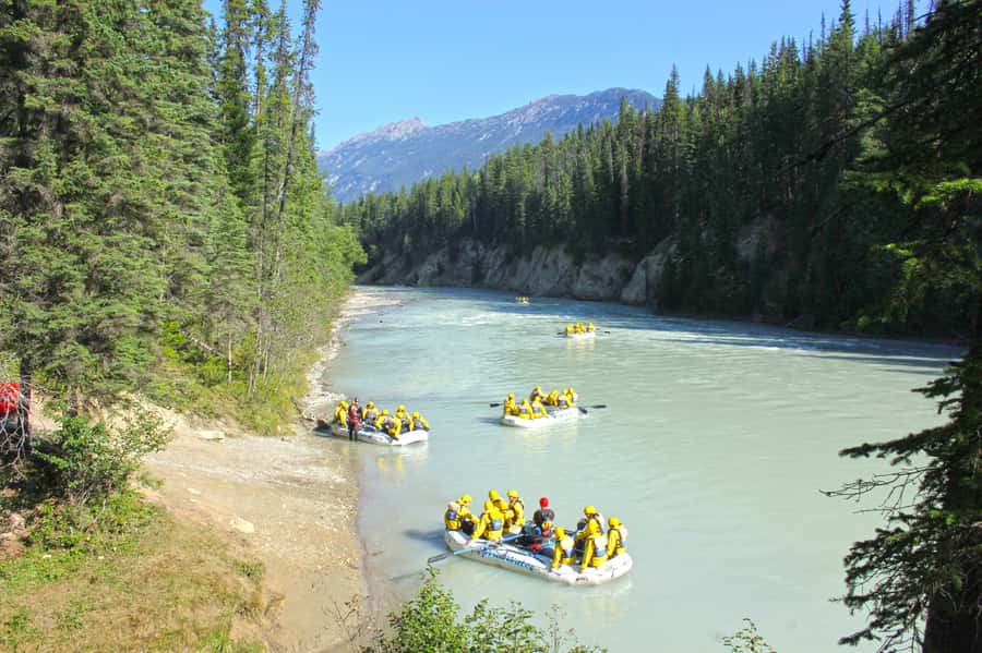 Kicking Horse River: Half-Day Intro to Whitewater Rafting - Getting There and Checking In at Wild Water Adventures RiverBase