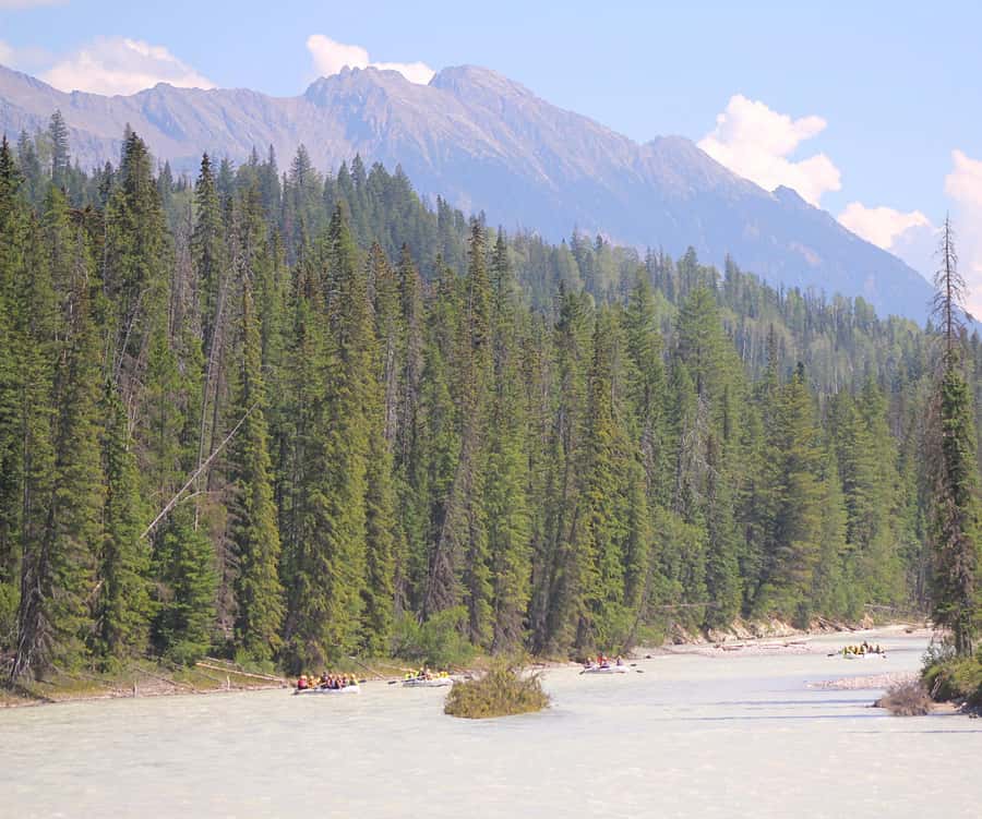 Kicking Horse River: Half-Day Intro to Whitewater Rafting - Who This Trip Is Best For, and Who Should Skip It