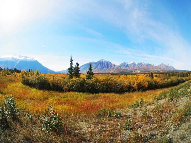 Kluane National Park: Full Day Tour - Energy bar, water, and the missing piece: lunch
