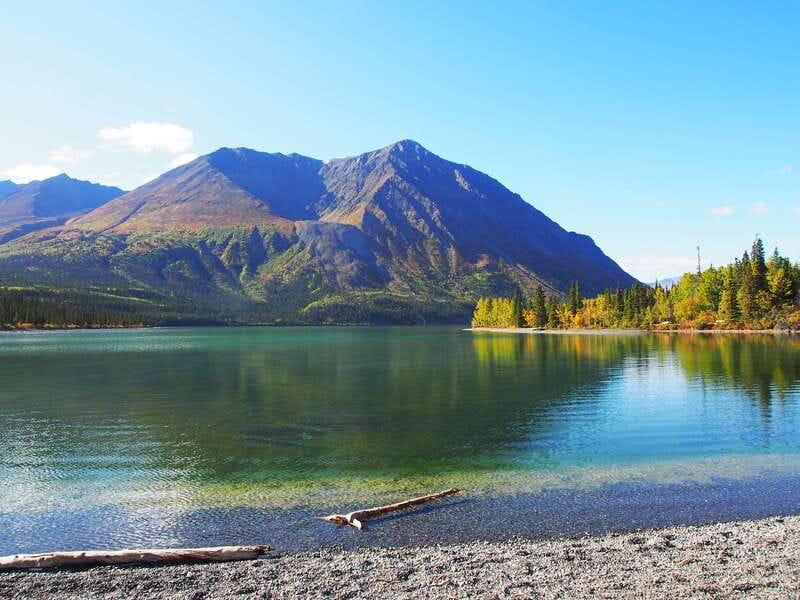 Kluane National Park: Full Day Tour - The guide experience: why names like Kei Ito matter