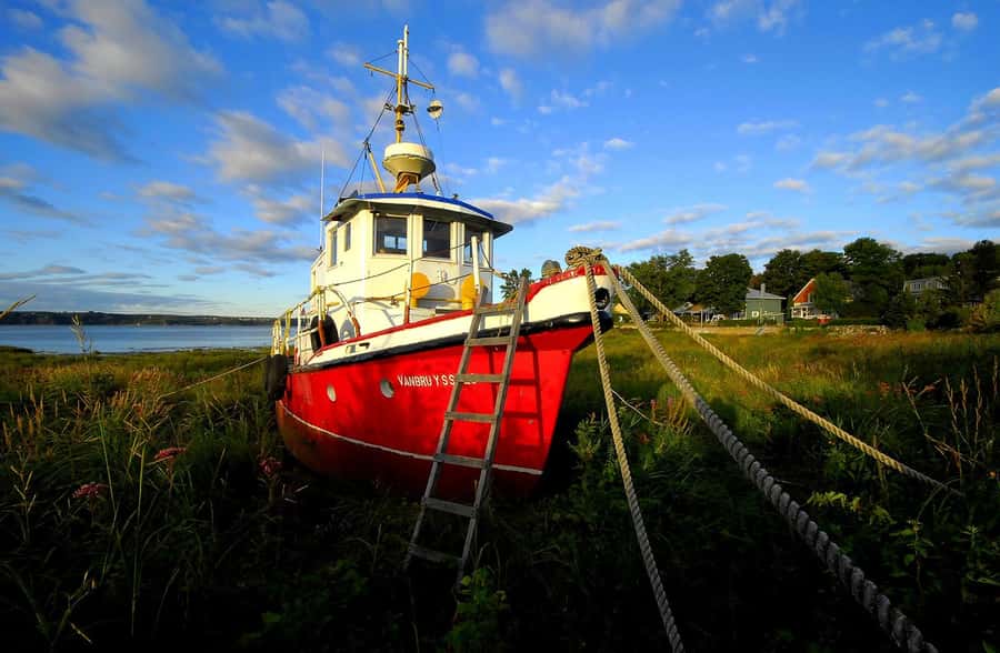 L'Isle-aux-Grues: Secret Islands of St. Lawrence Expedition - Starting at Berthier-sur-Mer Marina, led by the Lachance captains