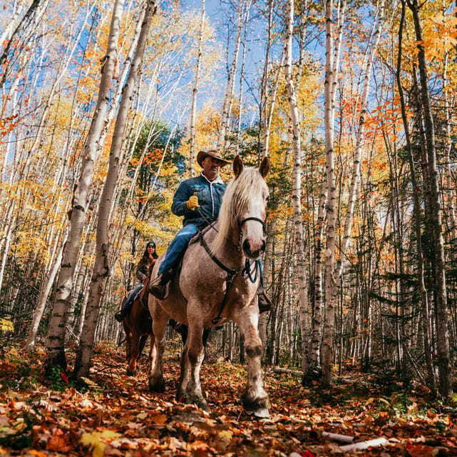 La Bleuetière: A charming introduction to horseback riding - Price and value: $68 for a small-group, guided horse ride