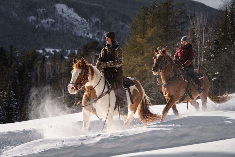 La Bleuetière: A charming introduction to horseback riding - Practical tips so your ride feels smooth