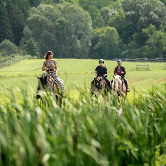 La Bleuetière: A charming introduction to horseback riding - Booking, timing, and language basics
