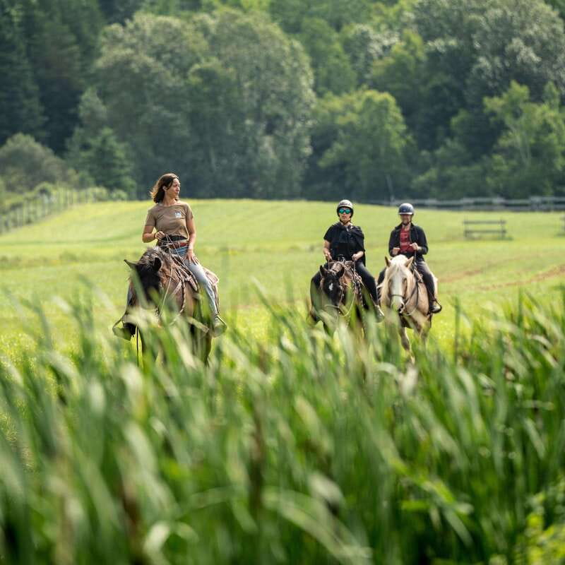 La Bleuetière: A charming introduction to horseback riding - The setting: a ranch start in Quebec’s Charlevoix region