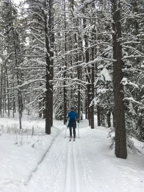 Lake Louise: Cross Country Skiing Lesson with Tour - Key things that make this Lake Louise ski lesson work