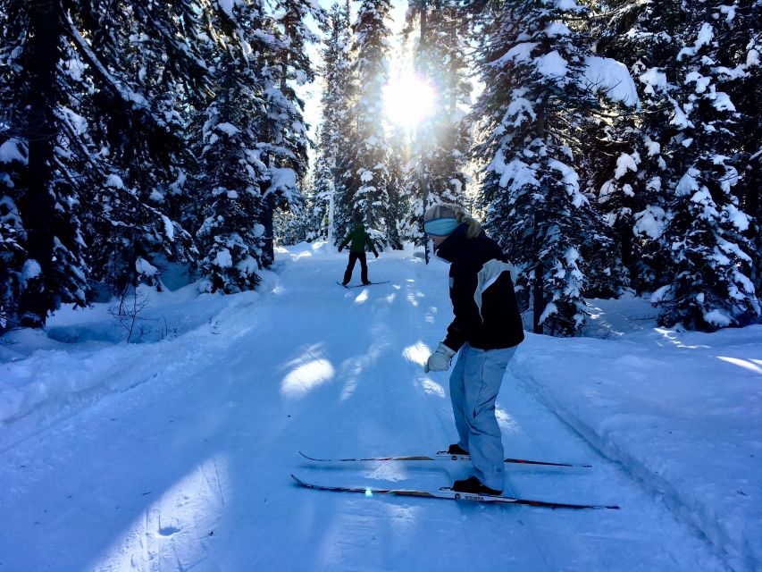 Lake Louise: Cross Country Skiing Lesson with Tour - Lake Louise and Nordic skiing, a match that makes sense