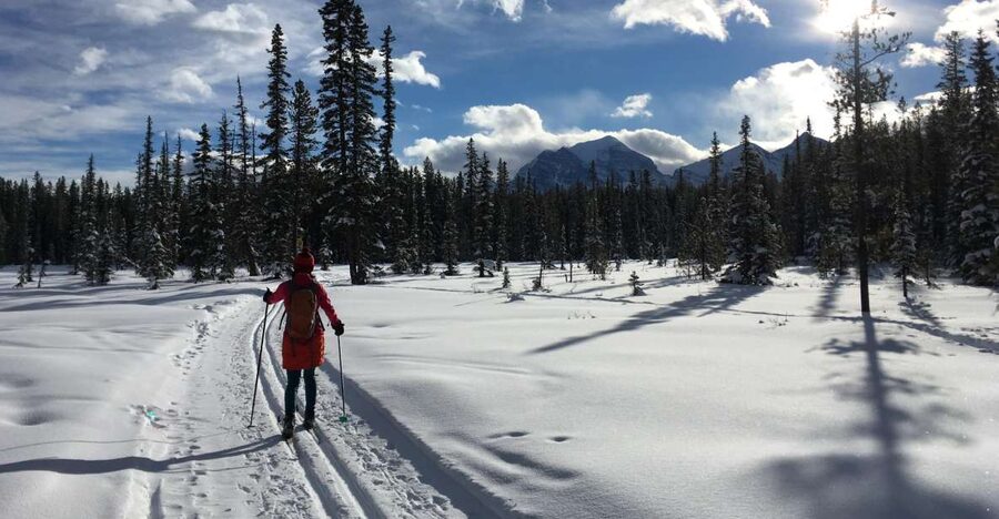 Lake Louise: Cross Country Skiing Lesson with Tour - Guided skiing rounds and a secret stop break