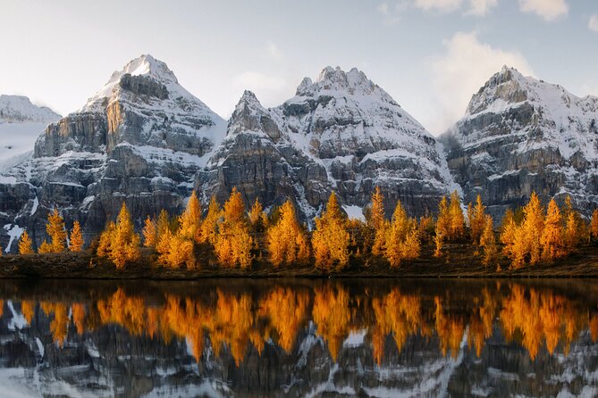 Lake Louise, Emerald Lake and Johnston Canyon Tour - Johnston Canyon Winter Walk, Crampons On, Waterfalls Nearby