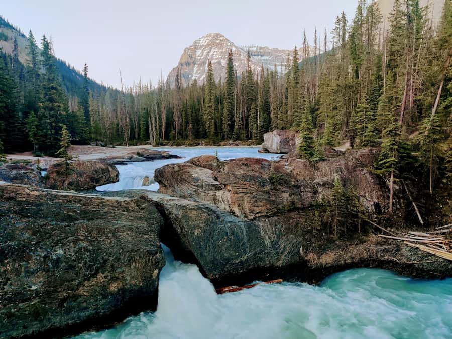 Lake Louise Emerald Lake Johnston Canyon Banff Town YohoTour - Johnston Canyon Lower Falls and Upper Falls hike, with winter ice help