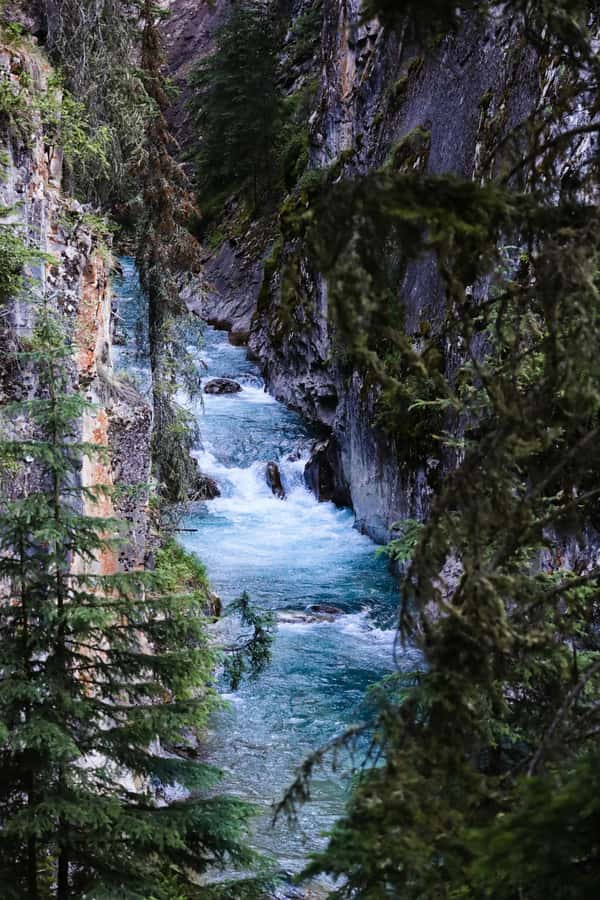 Lake Louise Emerald Lake Johnston Canyon Banff Town YohoTour - Vermilion Lakes, weather swaps, and why your guide matters