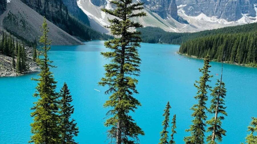 Lake Louise, Emerald Lake, Minnewanka Cruise & Banff Town - Banff Gondola on Sulphur Mountain: 360-Degree Views to Finish Strong