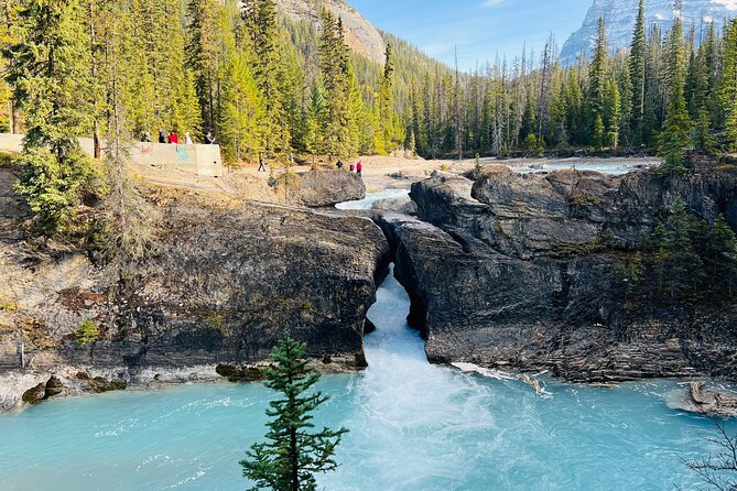 Lake Louise, Moraine/Bow, Emerald & Peyto - 4 Lakes in Banff - Yoho National Park, spiral tunnels, and Natural Bridge in winter