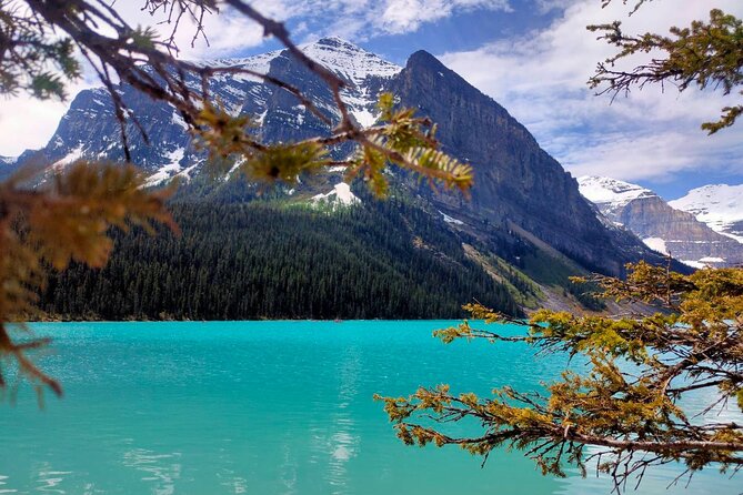Lake Louise Moraine Lake Johnston Canyon 1.5h Half Day Tour - Lake Louise: timing by season and how to use your 1 to 1.25 hours well