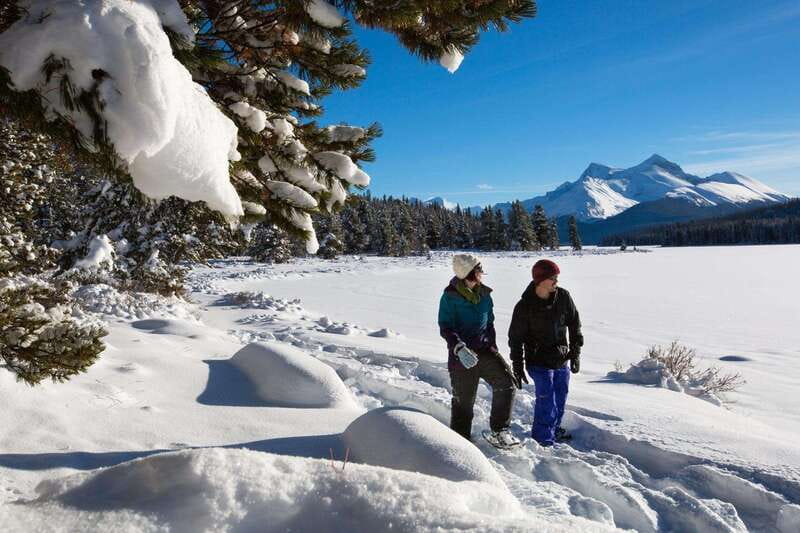 Lake Louise, Peyto Lake, Johnston Canyon & Icefields Parkway - Key points to know before you go