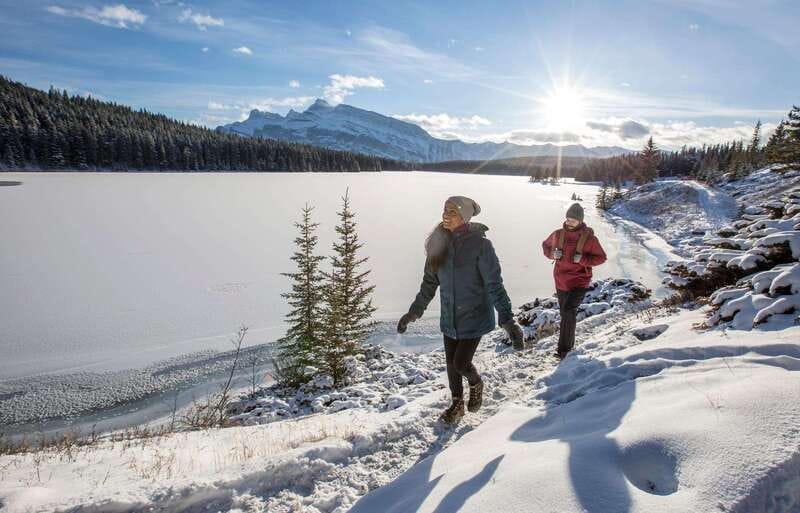 Lake Louise, Peyto Lake, Johnston Canyon & Icefields Parkway - Guide impact: why people rave about the interpretation