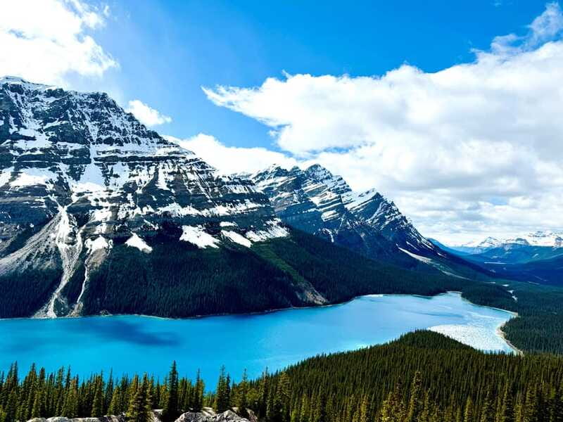 Lake Louise, Peyto Lake, Johnston Canyon & Icefields Parkway - Price and value at $76 per person