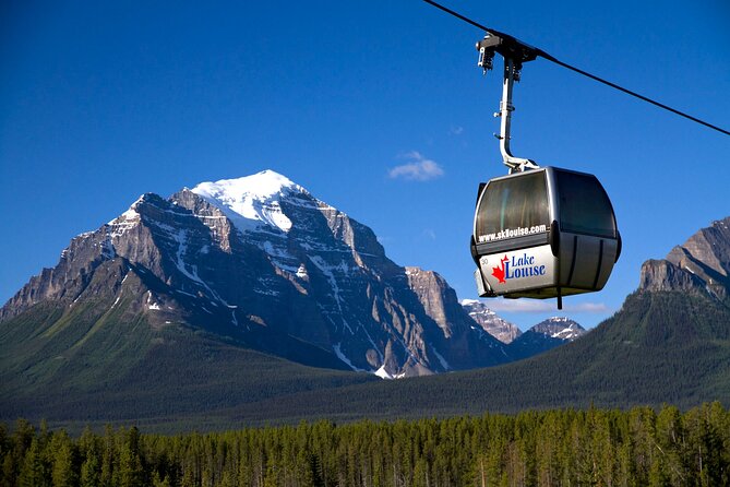 Lake Louise Summer Gondola Experience - Dining Up Top: Whitehorn Bistro, Timing, and Snack Smart
