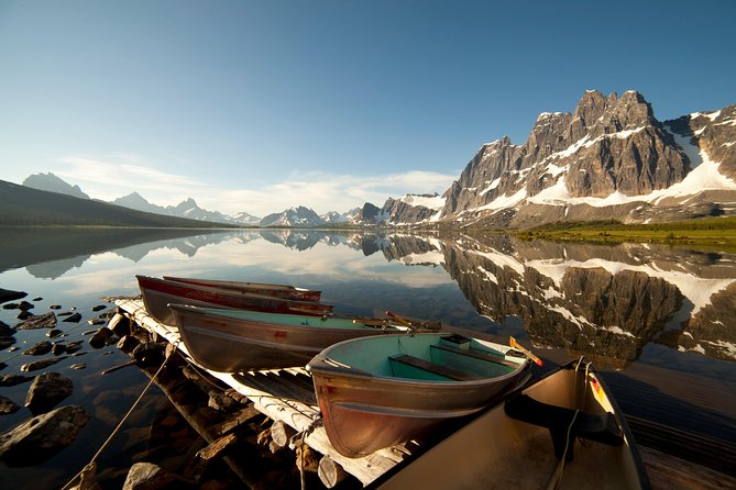 Lake Louise to Jasper One-Way Tour - Comfy Pickup, Real Guide Talk, and Wildlife Spotting