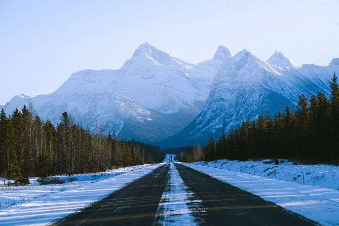 Lake Minnewanka, Peyto Lake, Bow Lake , Icefields - Bow Falls and Johnston Canyon: the bonus nature hits to plan around