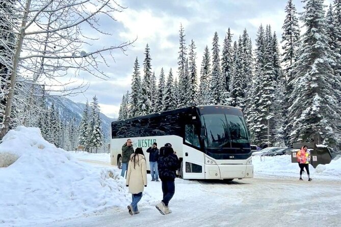 Lake Minnewanka, Peyto Lake, Bow Lake , Icefields - Pickup, group size, and what $89.37 actually buys