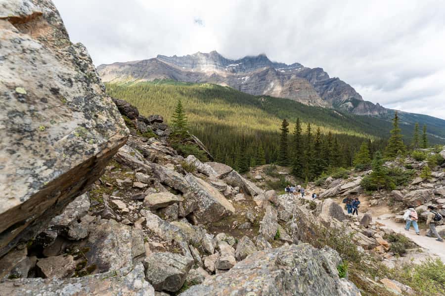 Lakes Moraine, Louise, Emerald, Johnston Canyon & Yoho Tour - Banff Avenue and Bow Falls: finishing with city energy