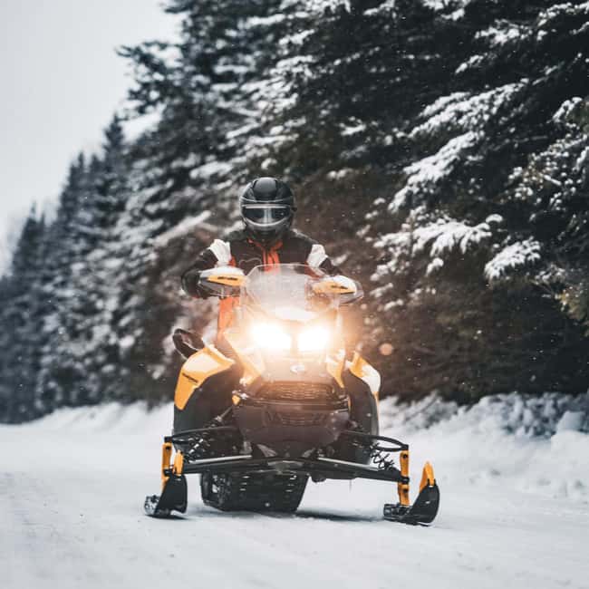 Laurentians: Snowmobile Guided Tour - Price and Value: Is $209 Per Group Up to 2 a Good Deal?
