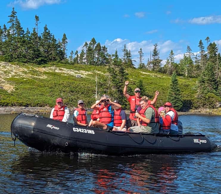 Lunenburg: Zodiac Wildlife Tour with Naturalist Guide - Key Highlights You Will Care About