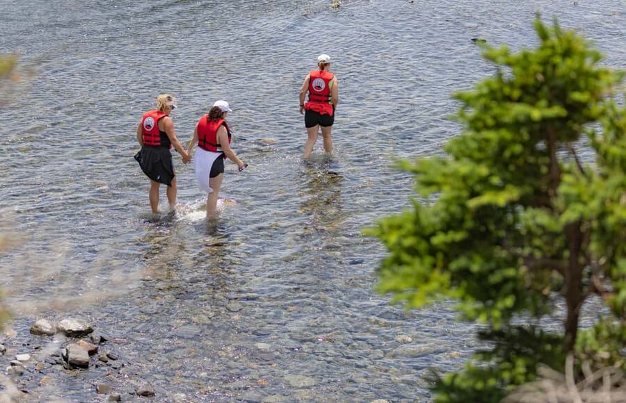 Lunenburg: Zodiac Wildlife Tour with Naturalist Guide - Wildlife You Can Expect, From Seals to Seabirds