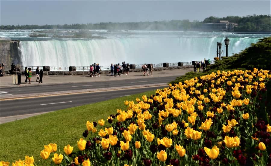 Luxury Day Trip: Niagara on the Lake, Wine & Falls - Guided Niagara winery tasting: short, guided, and timed to fit the day