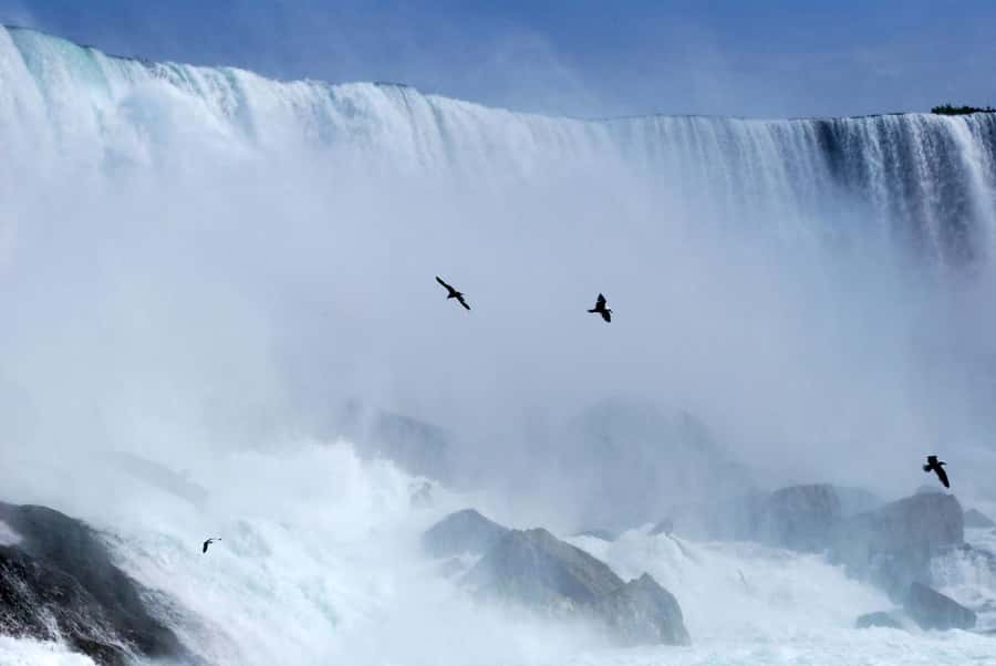 Luxury Day Trip: Niagara on the Lake, Wine & Falls - Niagara Falls on the Canadian side: Table Rock Centre and a realistic time budget