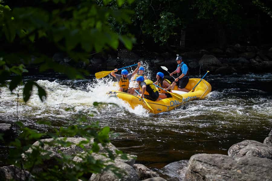 Mad Adventure rafting - Nature Time Just East of Algonquin Park