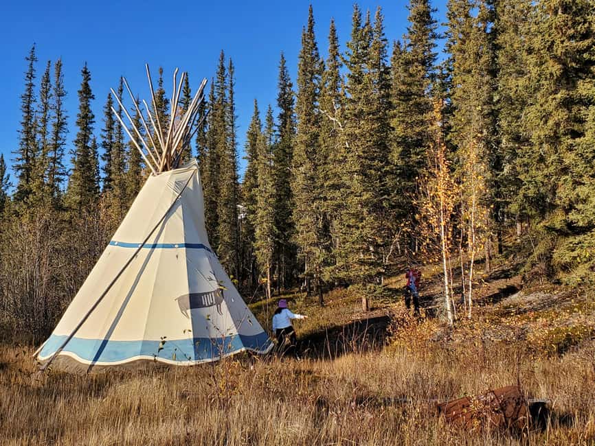 Madeline Lake: Aurora Lodge and Aurora Chasing Tour - Madeline Lake aurora, done with comfort in mind