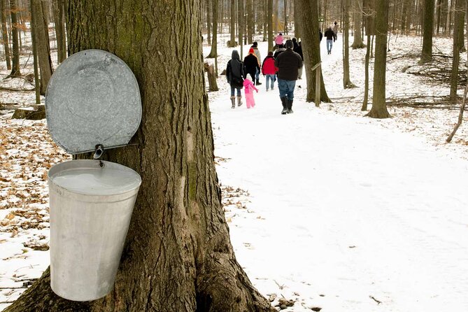 Maple Syrup Tour on the Sugar Bush Trek - Quick hits before you go