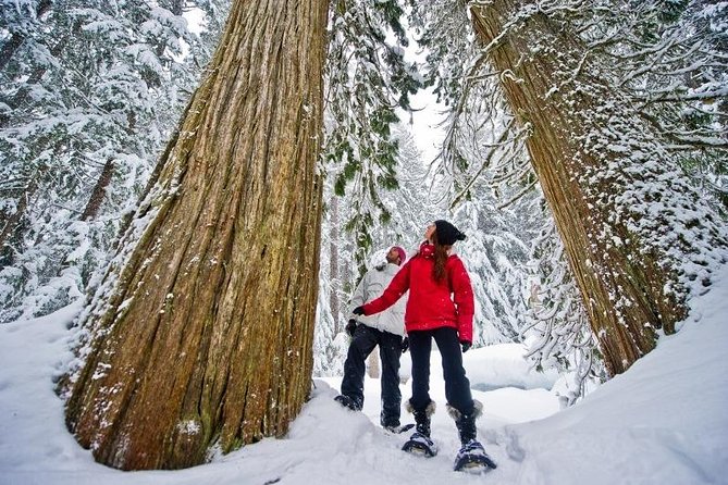 Medicine Trail Snowshoe Tour - Key highlights at a glance