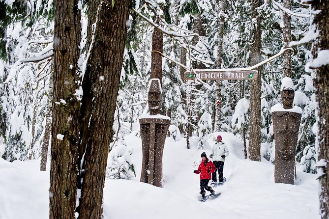 Medicine Trail Snowshoe Tour - How this tour feels on the ground in Whistler