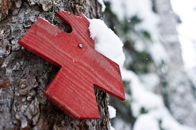 Medicine Trail Snowshoe Tour - Timing: your day starts at Carlton Lodge, not on the trail