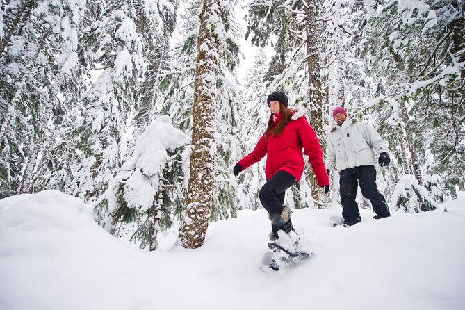 Medicine Trail Snowshoe Tour - Price and what you are really paying for