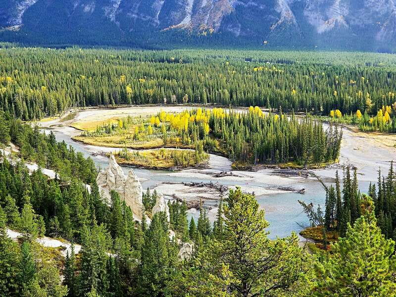 Minnewanka/Banff Gondola/Johnston Canyon/Moraine Lake Louise - Key reasons to pick this Banff day tour
