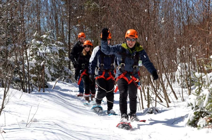 Mont-Catherine: Ziplines & Hike - Zip Line #1: Flying 3,000 Feet Above Winter Trees