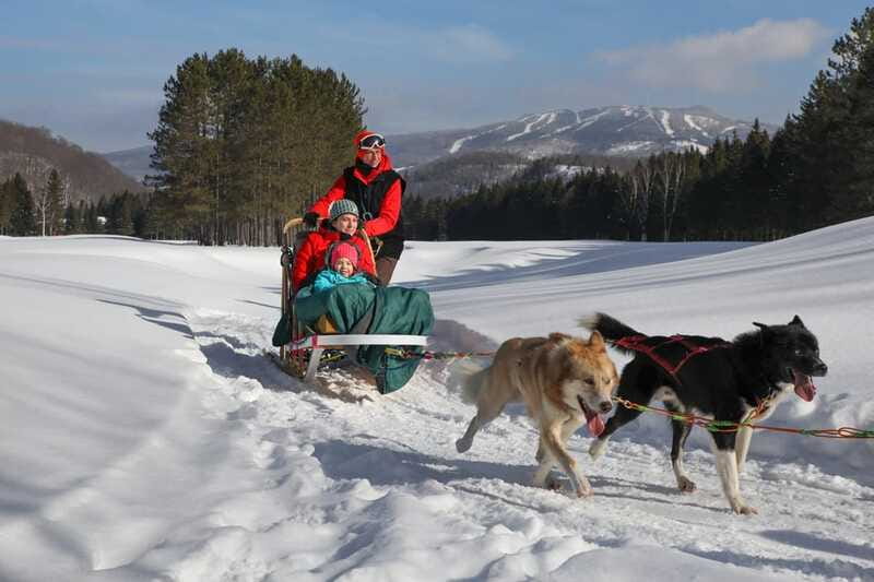Mont-Tremblant: Guided Dogsledding Tour with Hot Chocolate - Should You Book It?