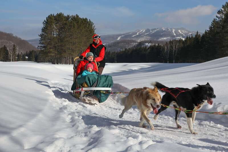 Mont-Tremblant: Guided Dogsledding Tour with Hot Chocolate - Starting at the Kennel: What Happens Before the Sled Moves