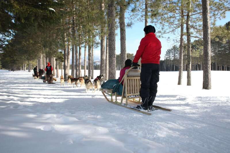 Mont-Tremblant: Guided Dogsledding Tour with Hot Chocolate - The Mushing Part: Roughly 1 Hour on Valley Trails