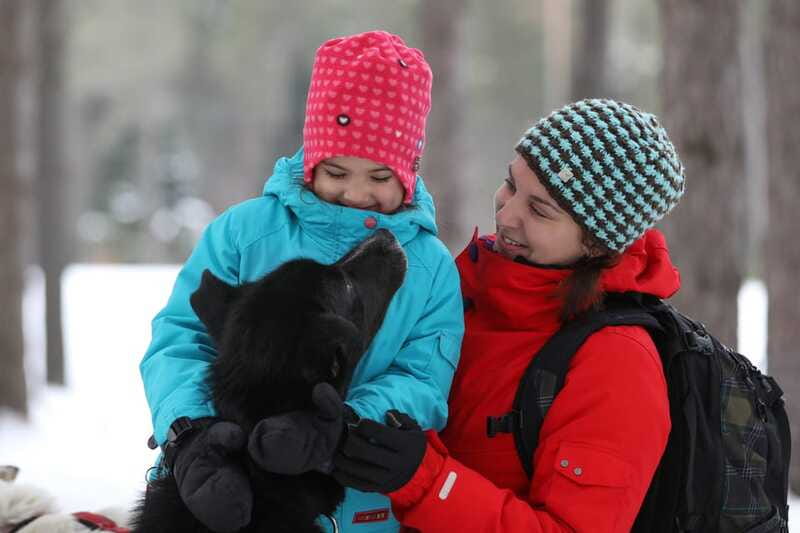 Mont-Tremblant: Guided Dogsledding Tour with Hot Chocolate - Back at the Kennel: Grooming, Treats, Brushing, and Puppy Time
