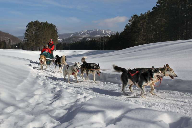 Mont-Tremblant: Guided Dogsledding Tour with Hot Chocolate - The Warm Finish: Hot Chocolate and Cookies in a Yurt