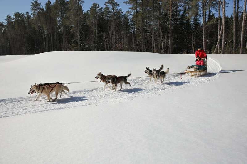 Mont-Tremblant: Guided Dogsledding Tour with Hot Chocolate - Price and Value: Is $213 Worth It?